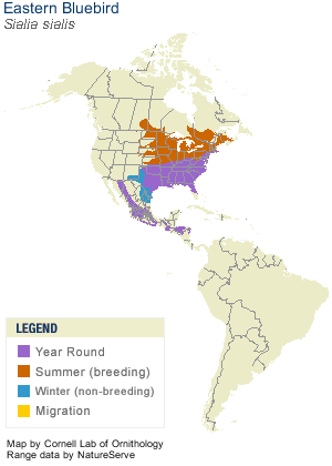 bluebird map.gif