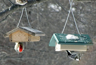 winter suet.jpg