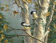 chickadees-sm[1].jpg